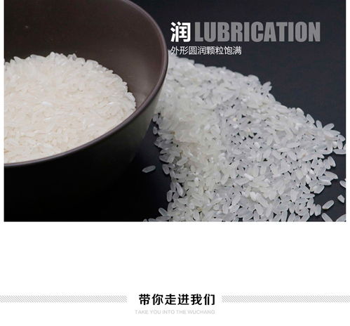 大清溝遼寧特產(chǎn)生態(tài)米 東北大米5kg 包郵 新疆 青海 西藏 港澳臺除外