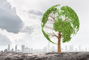 發(fā)布實(shí)施方案 今年新疆將啟動生態(tài)環(huán)境損害賠償制度改革試行工作