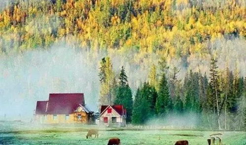 新疆15處美景上榜，生態保護與旅游發展相得益彰