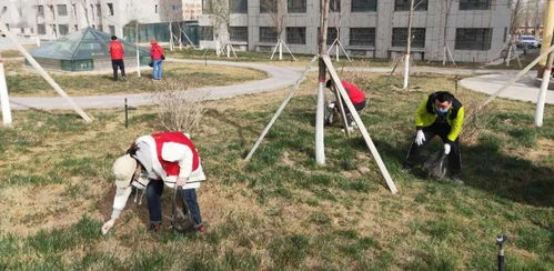 東城街道馬家坪社區 “雙報到”黨員先鋒行，攜手共建美麗家園