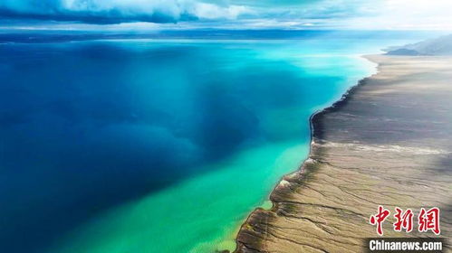 阿爾金山 生態(tài)畫卷徐徐展開 野生動(dòng)物家園煥新顏