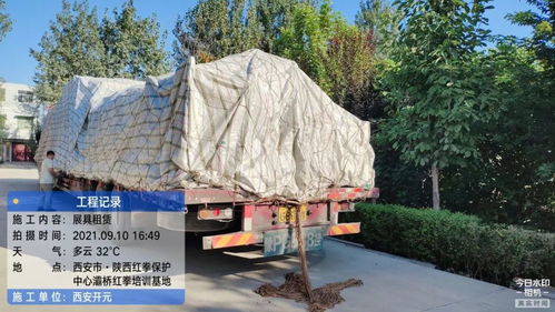 開元展覽 環(huán)保展具跨越山海，綠色理念扎根新疆