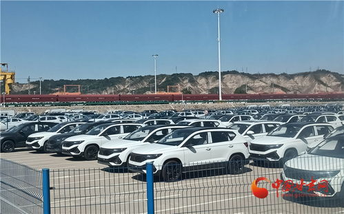 做強蘭州樞紐品牌，構建高質量發展快速引擎——房屋租賃助力城市新升級